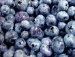 blueberries