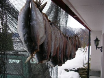 fish-drying fish-drying