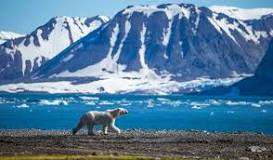 ”spitsbergen”