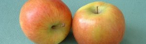 apples apples