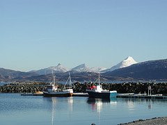 Leka-harbor