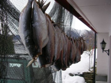 fish-drying